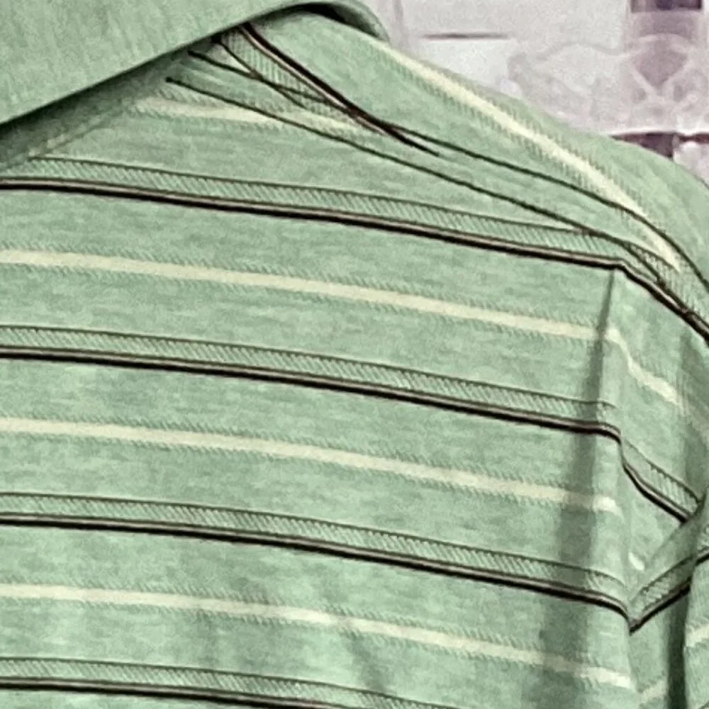 Banana Republic Green Striped Polo Shirt M